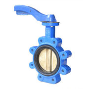 Lug butterfly valve manufacturer in India